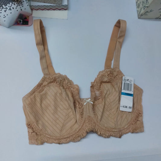 FELINA Intimates Size : 34-E
