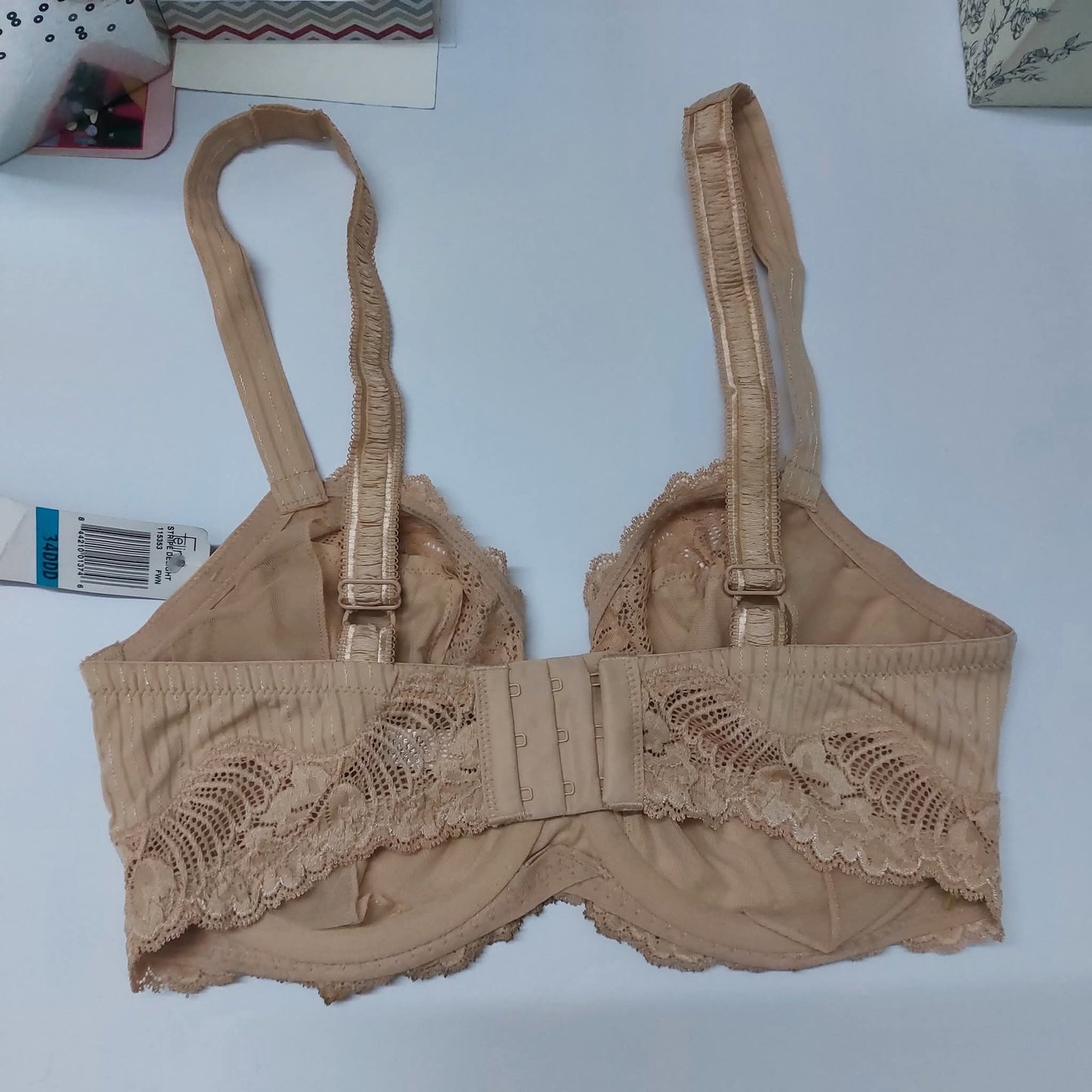 FELINA Intimates Size : 34-E